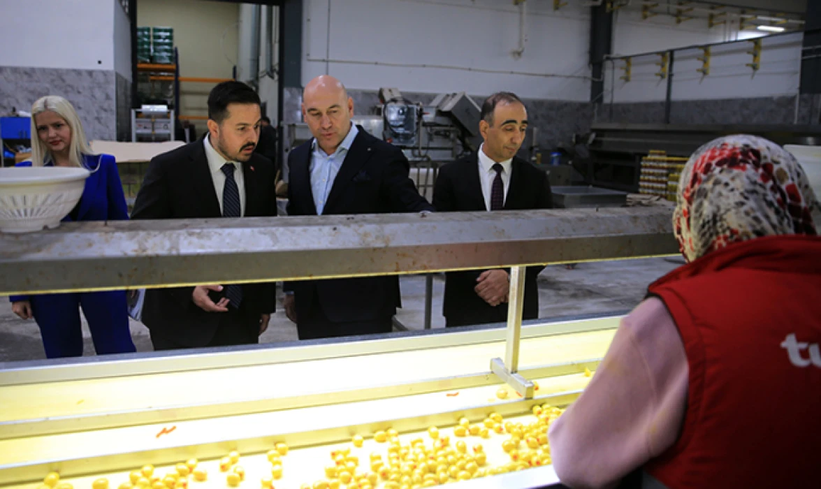 IPARD programlarıyla 14 yılda 26 bin proje desteklendi