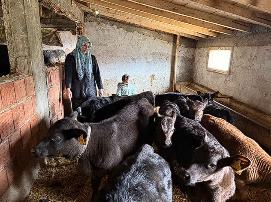 Devlet desteğiyle büyüdü: Kadın çiftçi sürüsünü ikiye katladı