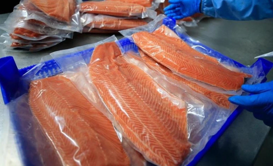 Türk somonu ihracatında hedef büyüyor: Gelirlerin milyar dolara ulaşması planlanıyor