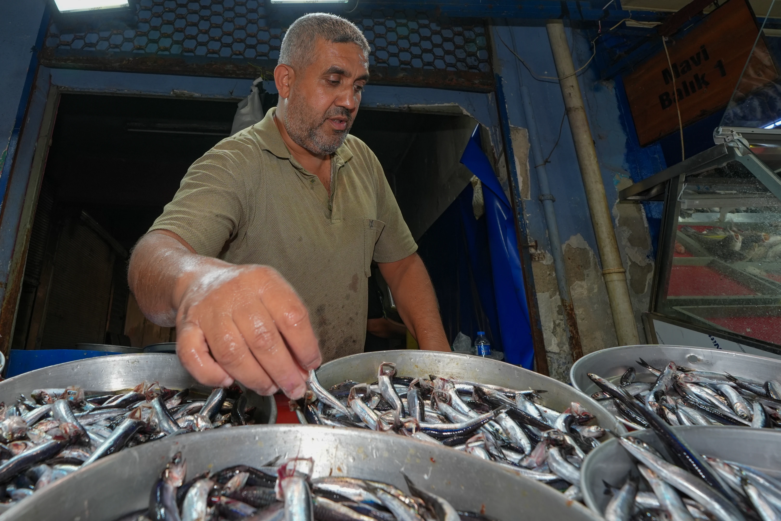 Balıkçılıkta geri sayım: Av yasağına son 9 gün! Tezgahlarda haraketlilik var