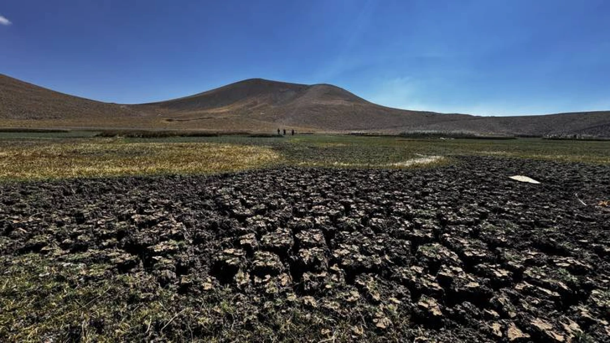 Erciyes'in eteklerinde yılkı atları, kuşlar ve koyunlara hayat veren Sarıgöl kurudu