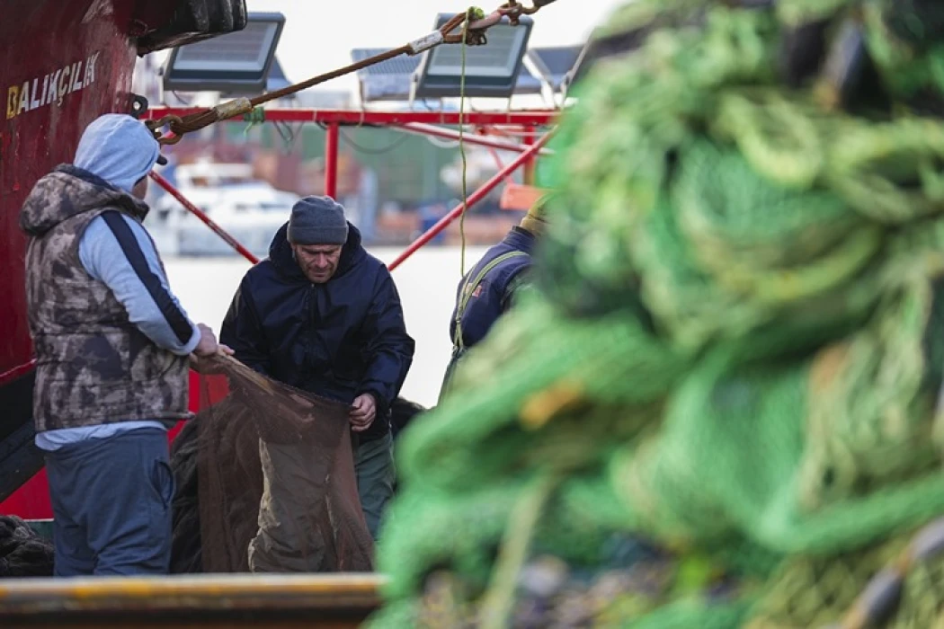 Yarısı tamamlanan av sezonunda hamsi ve sardalya yüz güldürdü