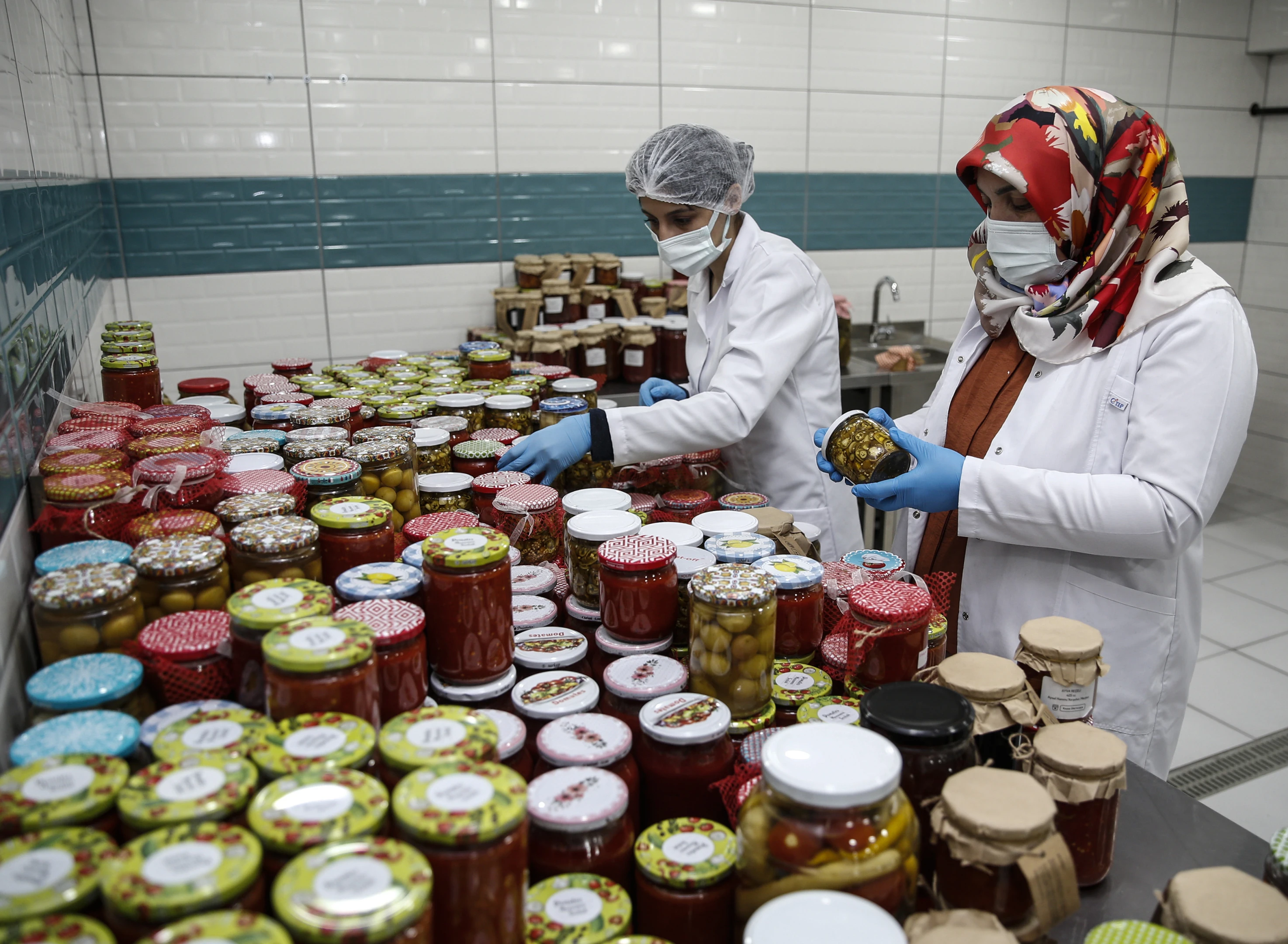 Kooperatiflere KGF kredisi geliyor