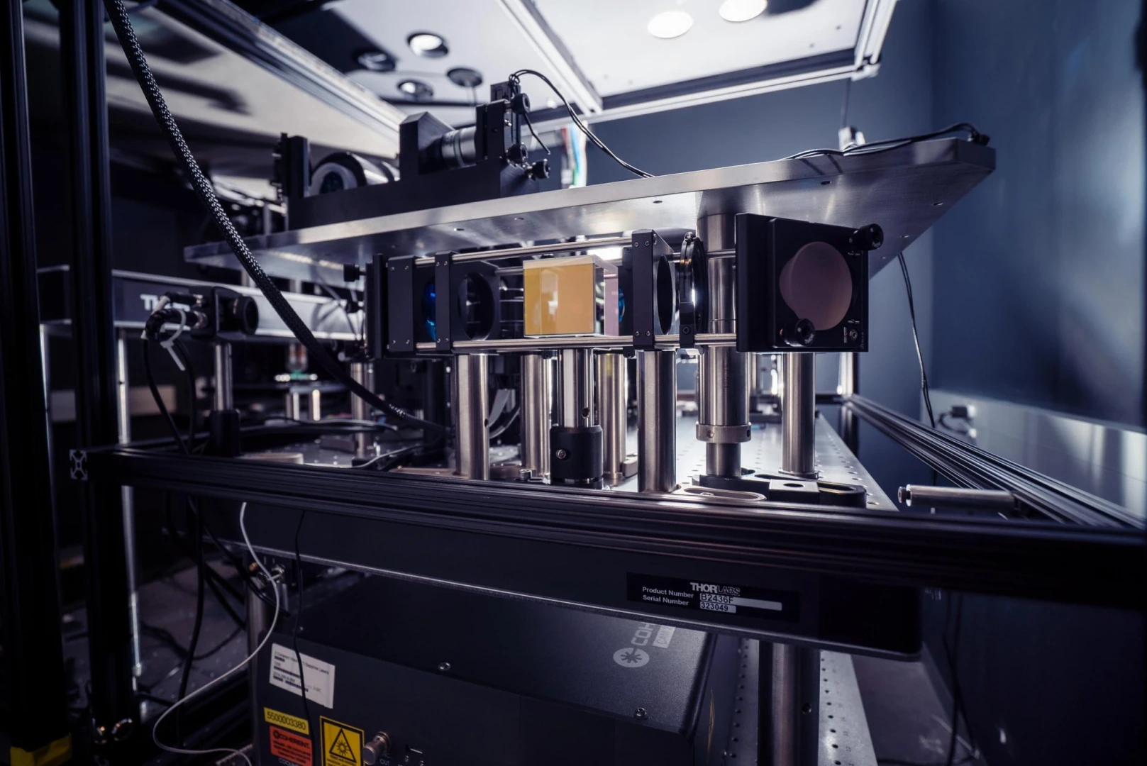 Nöronların karar verme mekanizması ilk kez görüntülendi: Beynin gizli dili