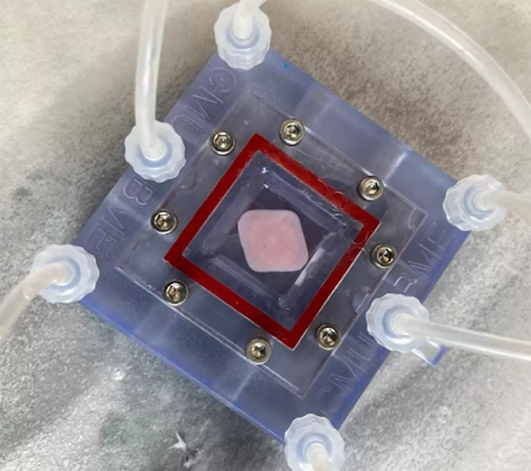 3D yazıcıyla basılan ‘Karaciğer yaması’: Nakil ihtiyacını azaltacak