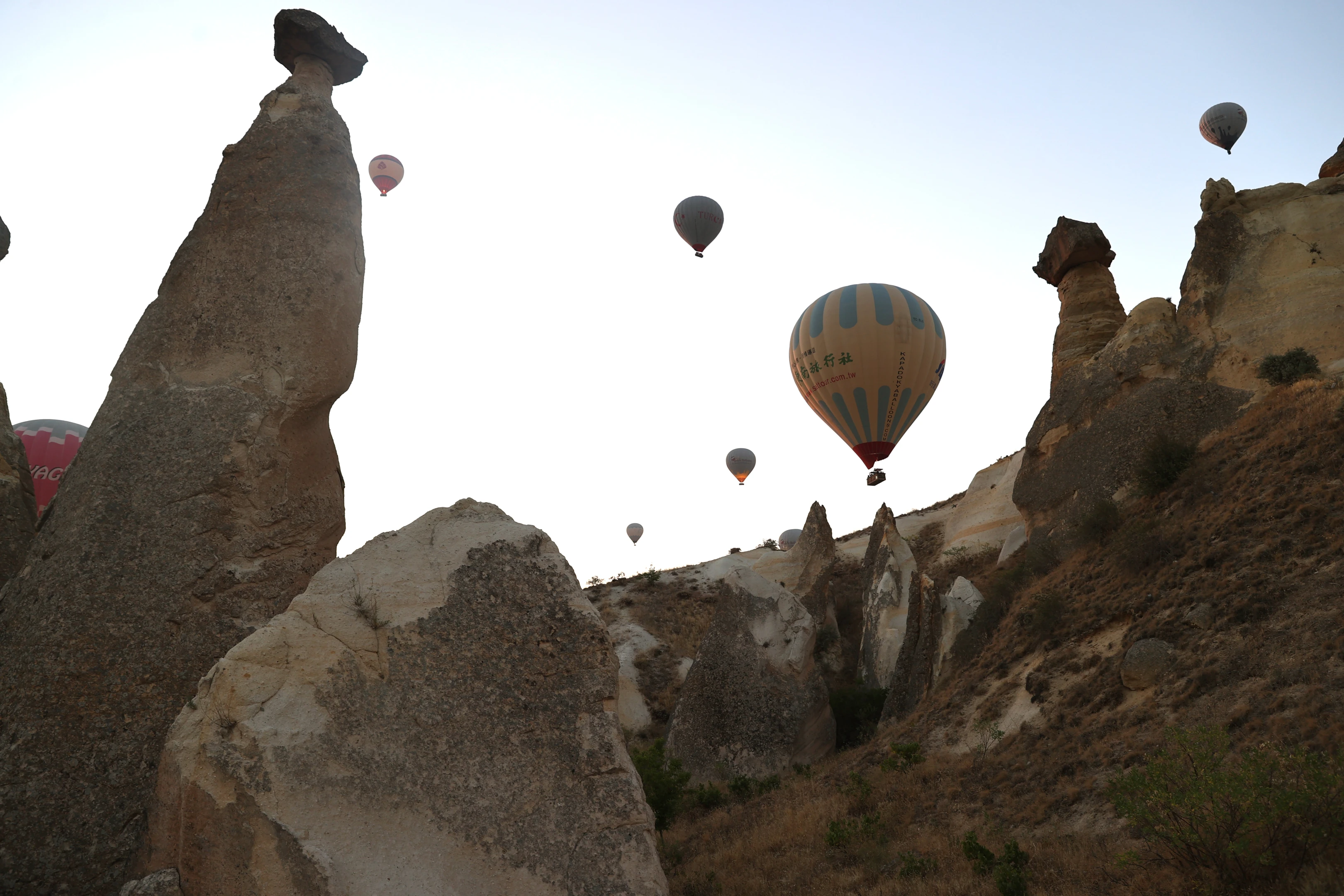 Balonların turizme katkısı artıyor! Turistler bölgeyi gökyüzünden keşfetti