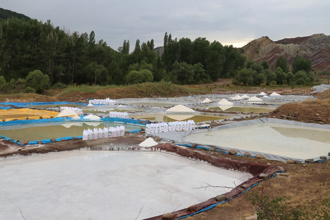 Sivas’ın mineral zengini ‘esmer tuzu’ Japon mutfaklarına ulaşıyor
