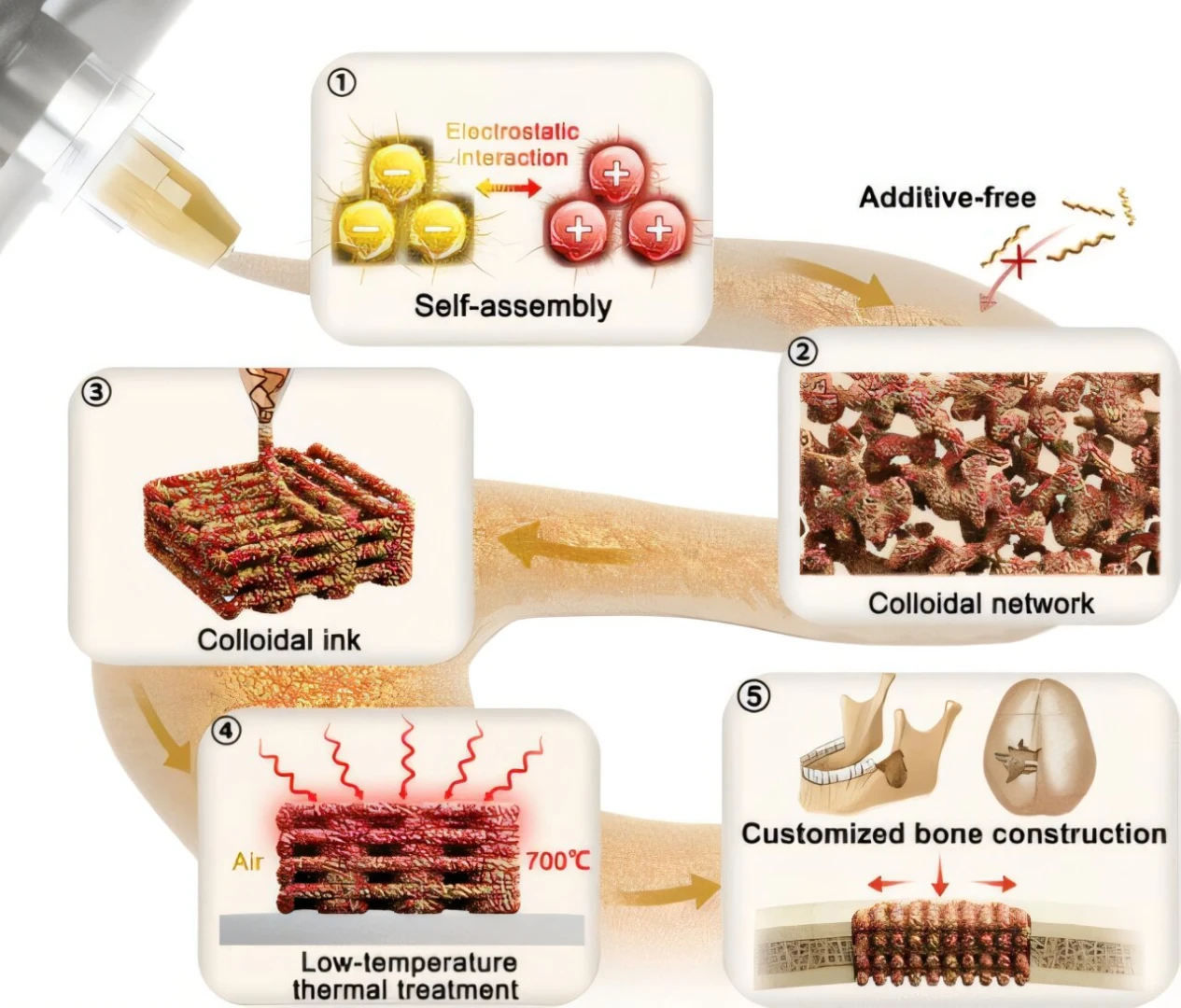 3B yazdırılabilir biyo-cam, kemik ikamesinde çıtayı yükseltiyor