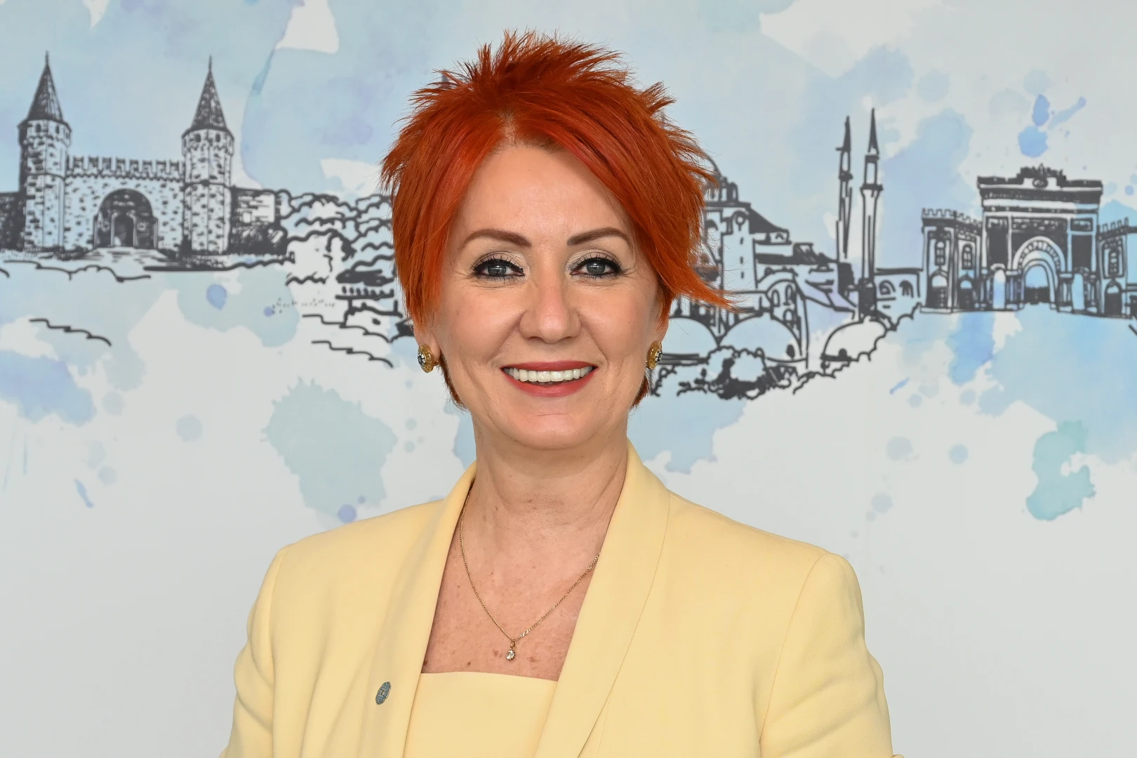 Meclis'ten yansımalar