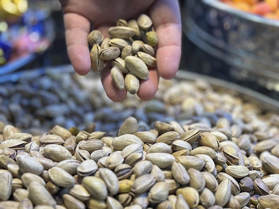 Tatlı üretiminde güvenlik ön planda: Antep fıstığında TSE zorunluluğu