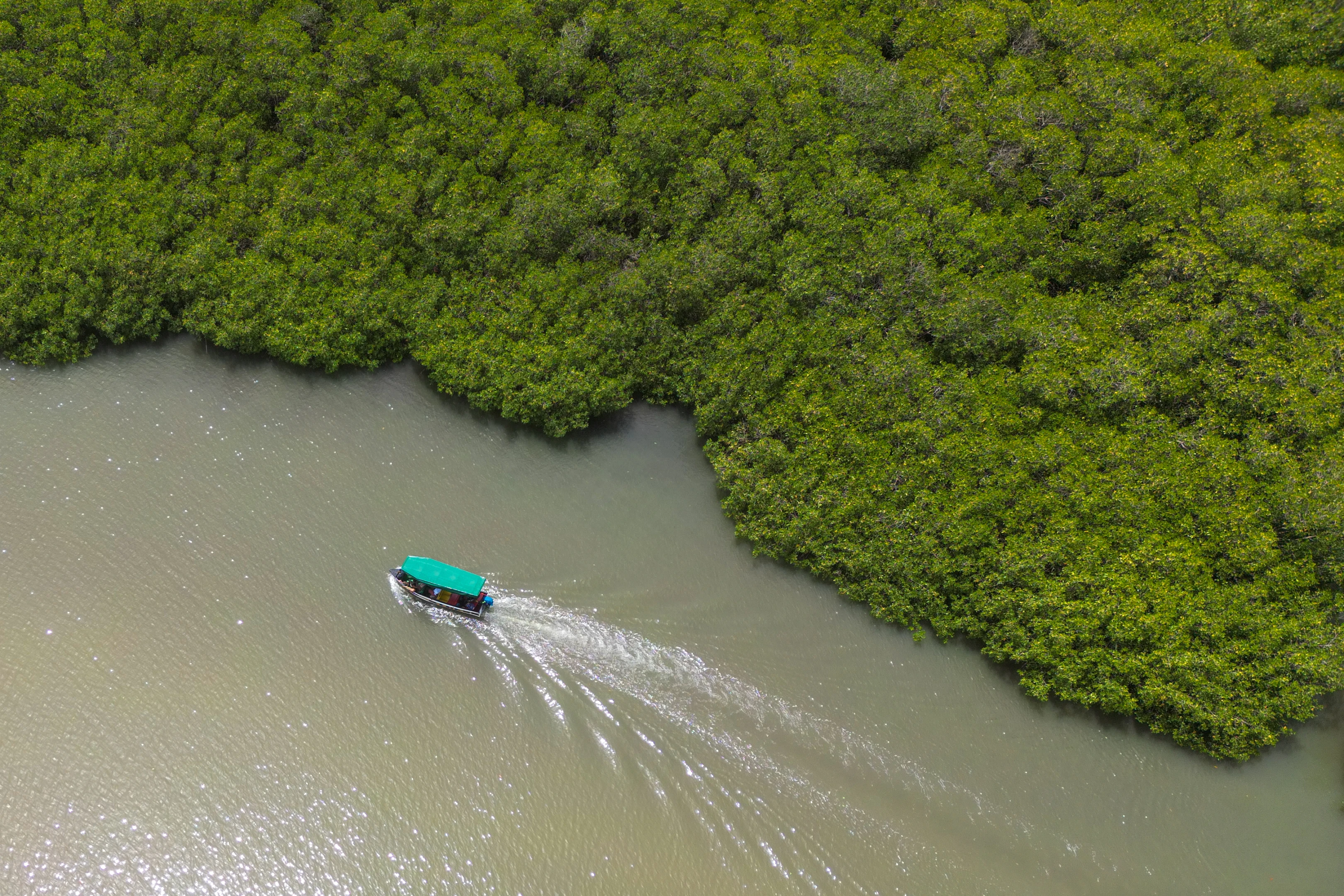Sanayide karbon çağı başlıyor
