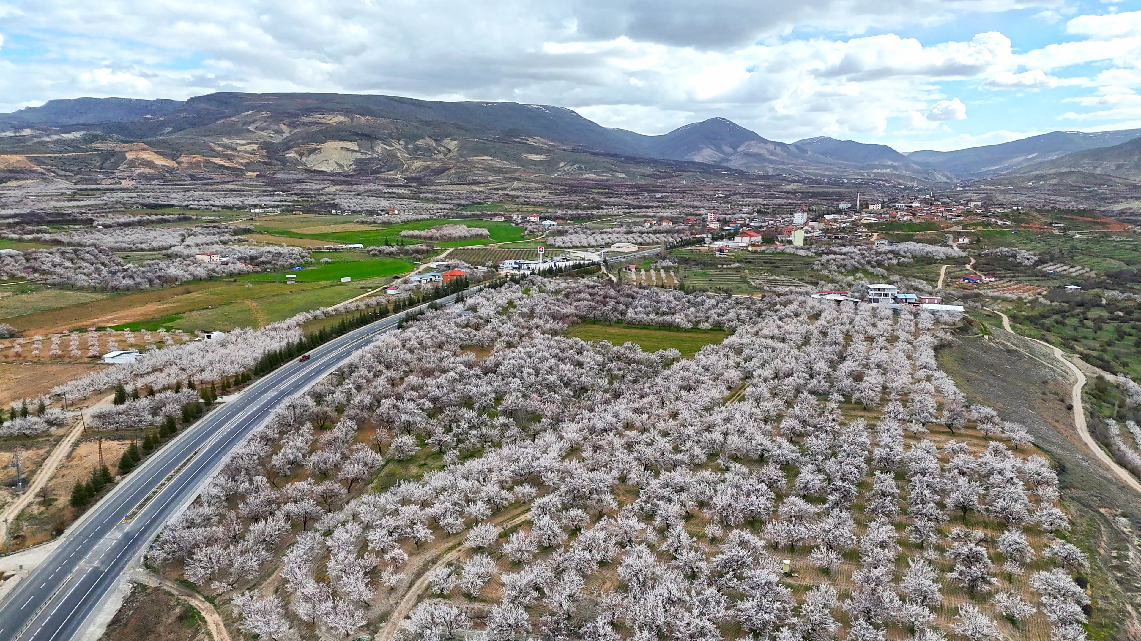 Malatya’da 2 milyon kayısı ağacı çiçek açtı: Darende beyaza büründü