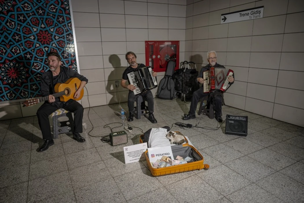 Sirkeci'de sokak sanatçılarına eşlik eden kedi yürekleri ısıtıyor