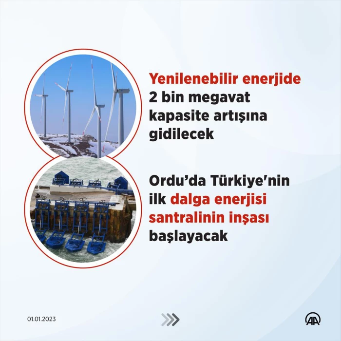 Türkiye bu yıl ‘enerji’sini artıracak
