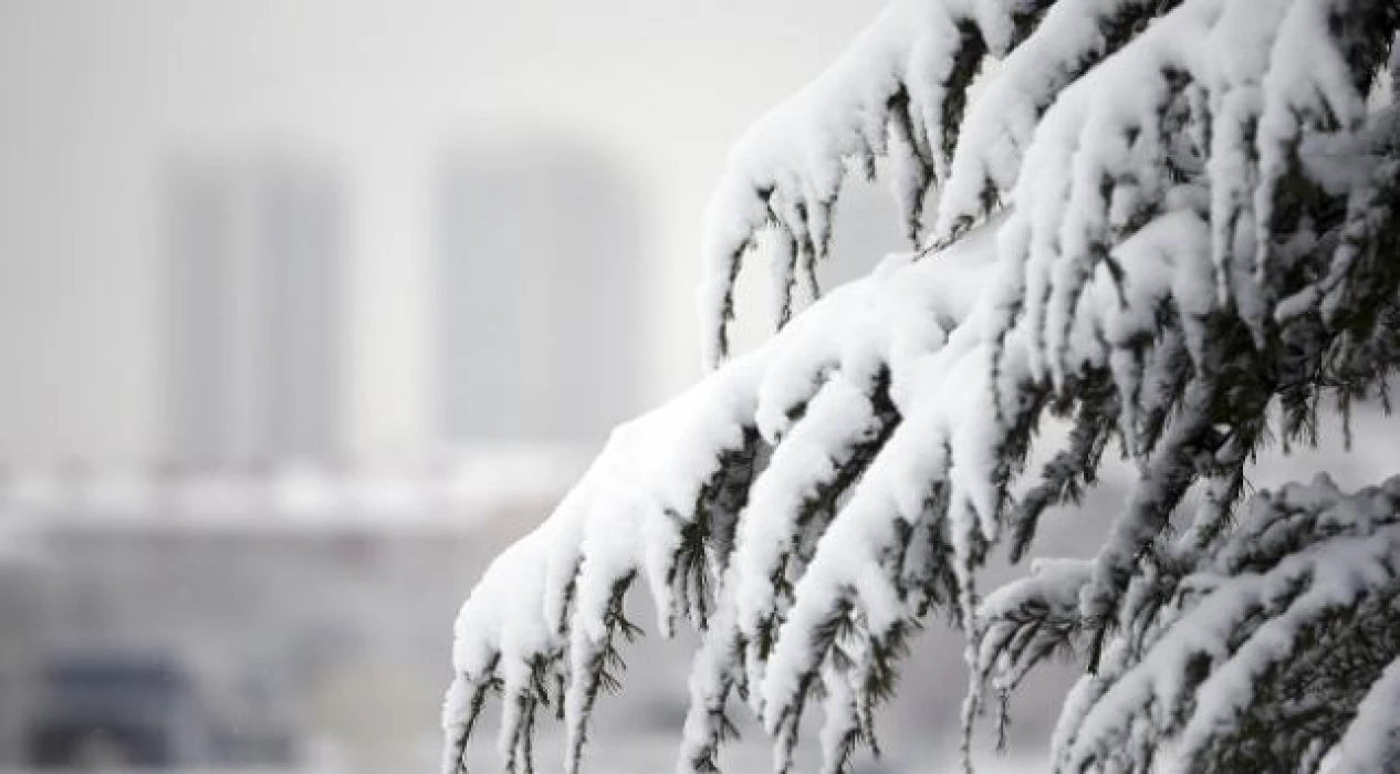 SON DAKİKA: Dünya Meteoroloji Örgütü uyardı! 60 yılın en soğuk kışı geliyor