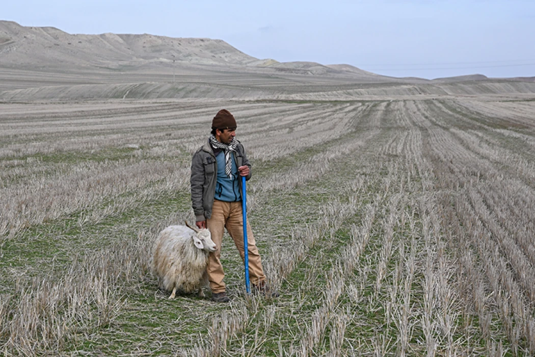 Tiftiğin ekonomiye kazandırılması için destek mekanizmaları geliştirilecek