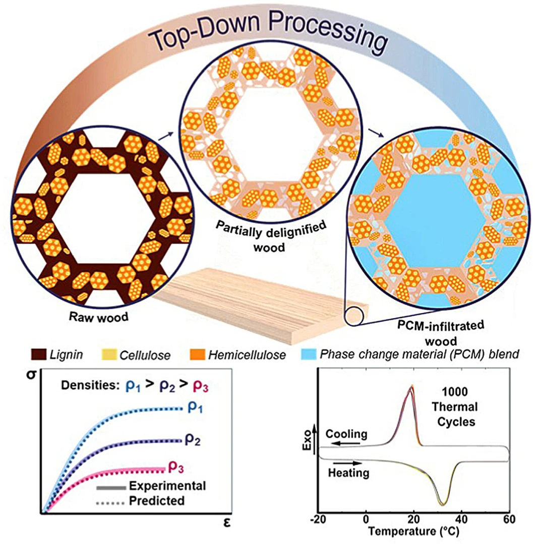 İnşaat sektöründe yeni dönem: Isı depolayan ahşap malzeme geliştirildi