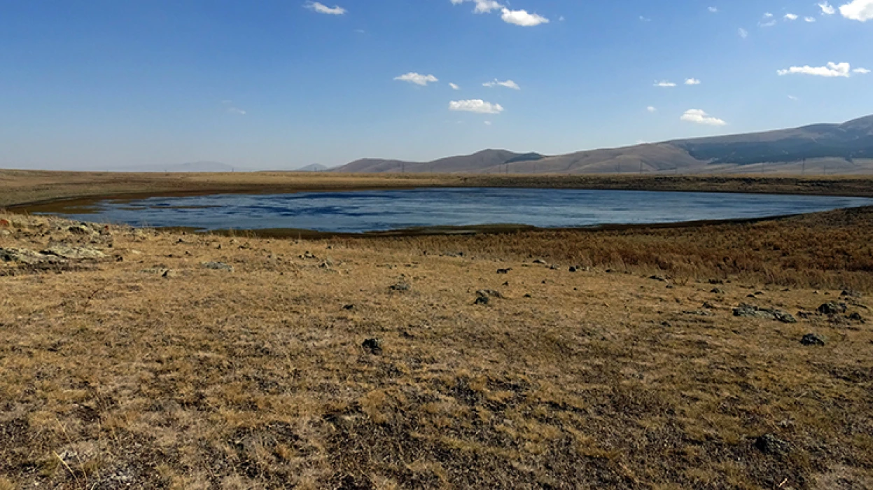 Kars'ta göçmen kuşların konakladığı Asboğa Gölü'nde su 60 metre çekildi