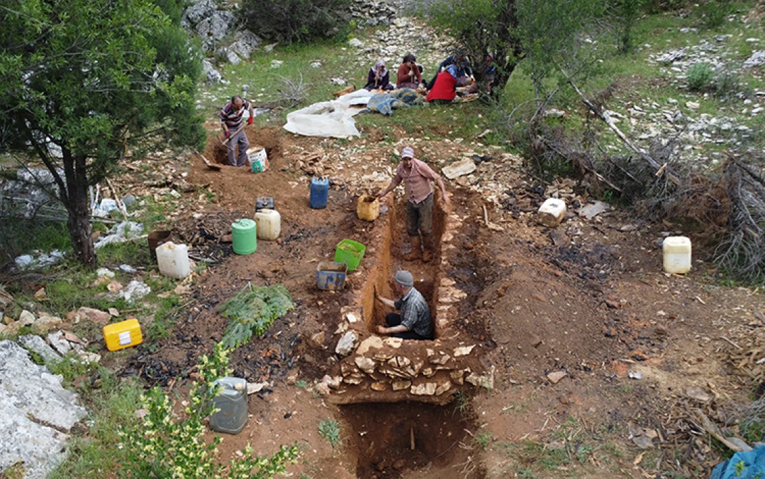 Antalya'da geleneksel yöntemlerle sedir katran yağı üretiliyor