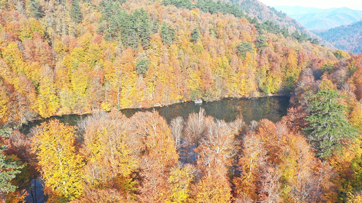 Sonbahar renklerine bürünen 'orman denizi' Yedigöller'de ziyaretçi yoğunluğu
