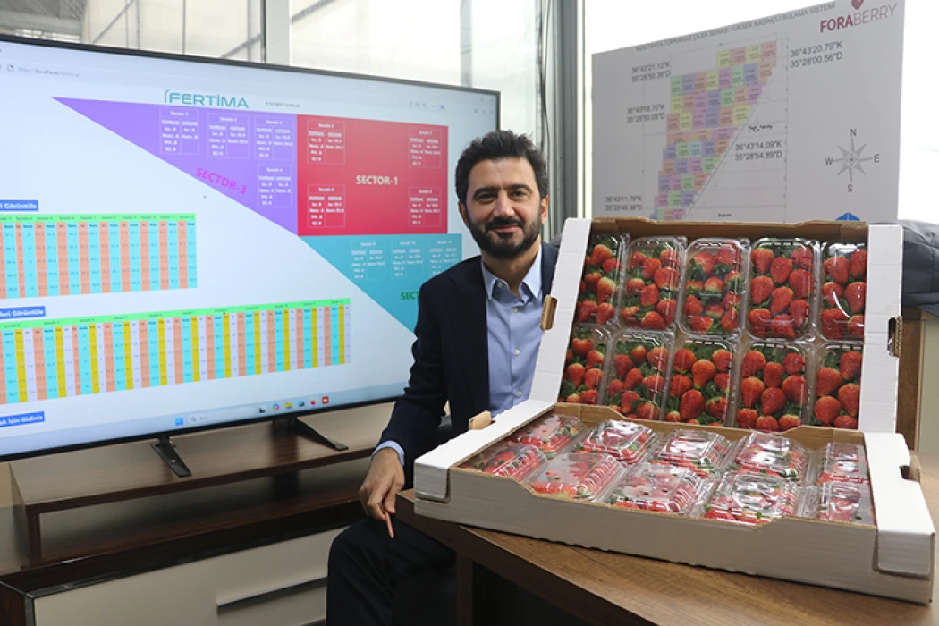 Yapay zeka destekli topraksız serada üretilen çilek 7 ülkeye ihraç edildi