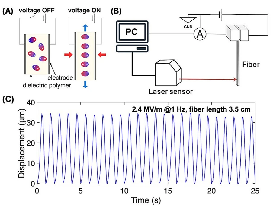 Elektrikle hareket eden, saç teli inceliğinde yumuşak robotik lif