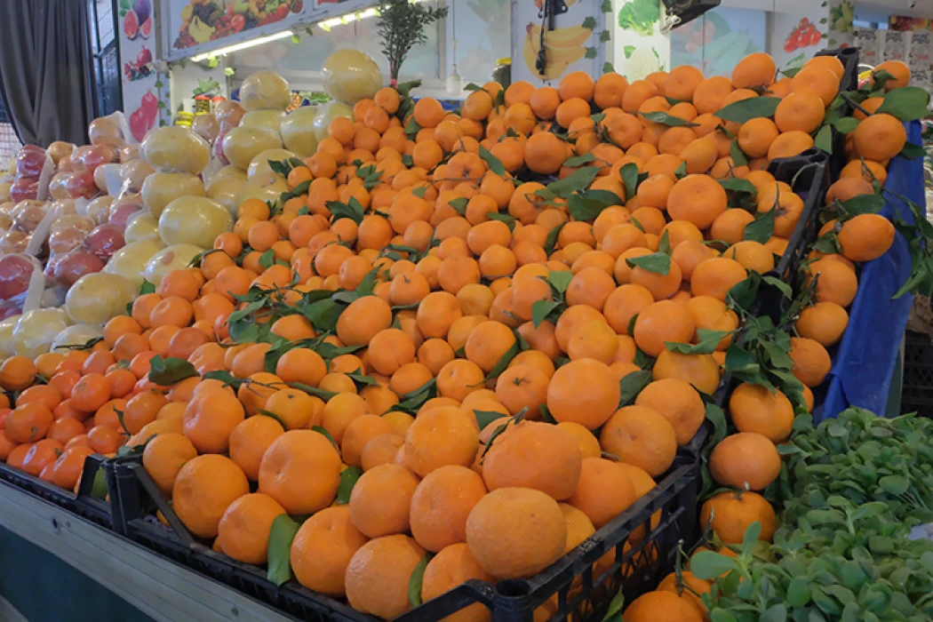 Narenciye ihracatı 2025'te Türkiye'ye 1,48 milyar dolar kazandırdı