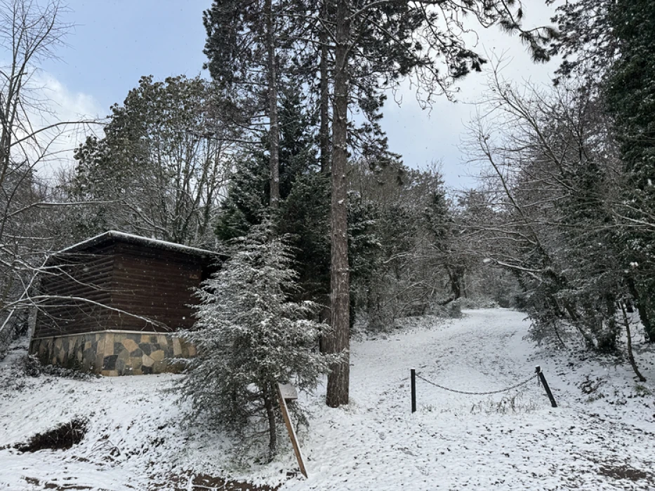 Yurtta kış etkisini artırdı: Bolu Dağı’nda yoğun kar, ekipler yollarda teyakkuzda