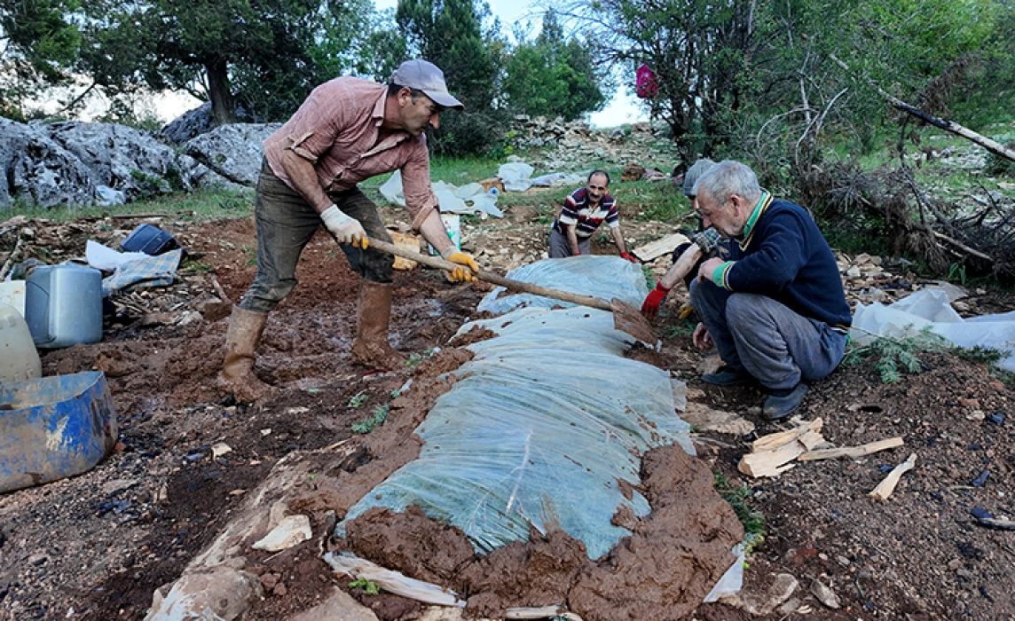Antalya'da geleneksel yöntemlerle sedir katran yağı üretiliyor