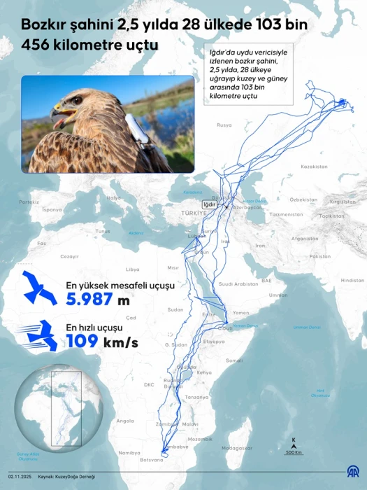 Bozkır şahini 2,5 yılda 28 ülke dolaştı: 103 bin kilometrelik göç yolculuğu kaydedildi