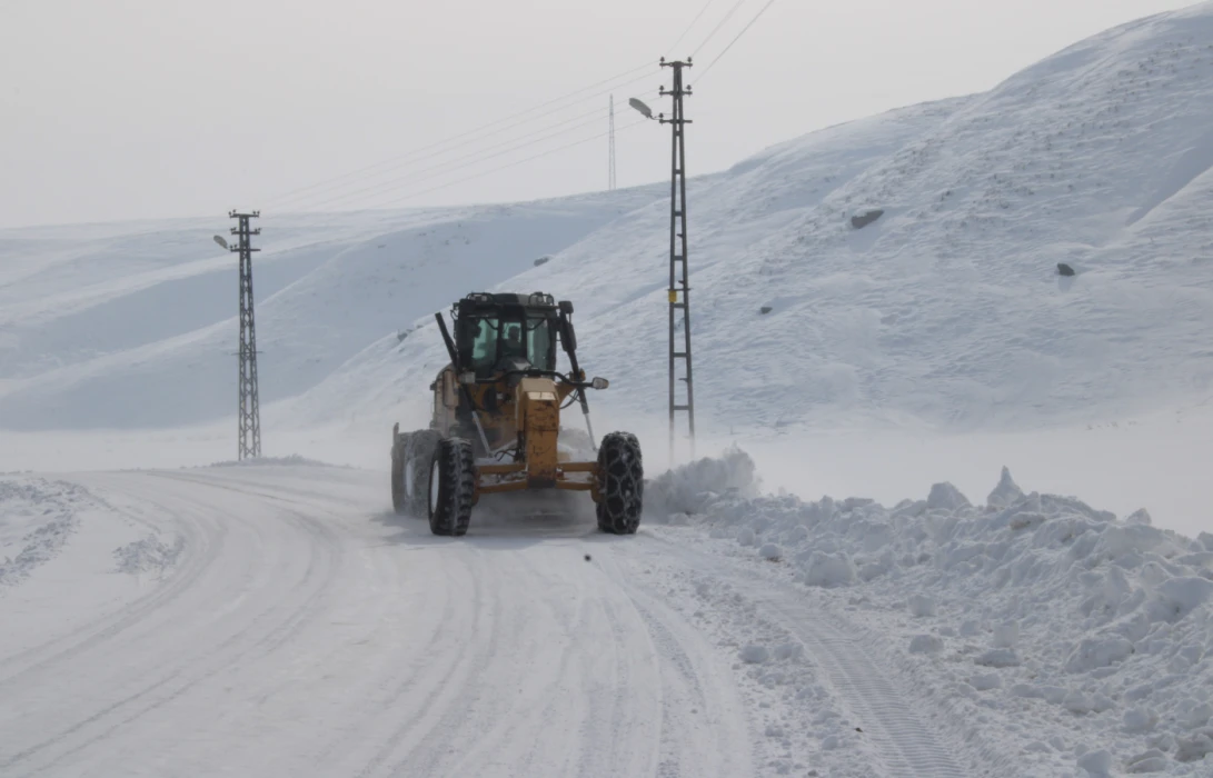 Kar altında domates yetiştiriyorlar