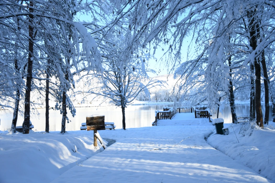 Düzce Korugöl Tabiat Parkı karla kaplandı