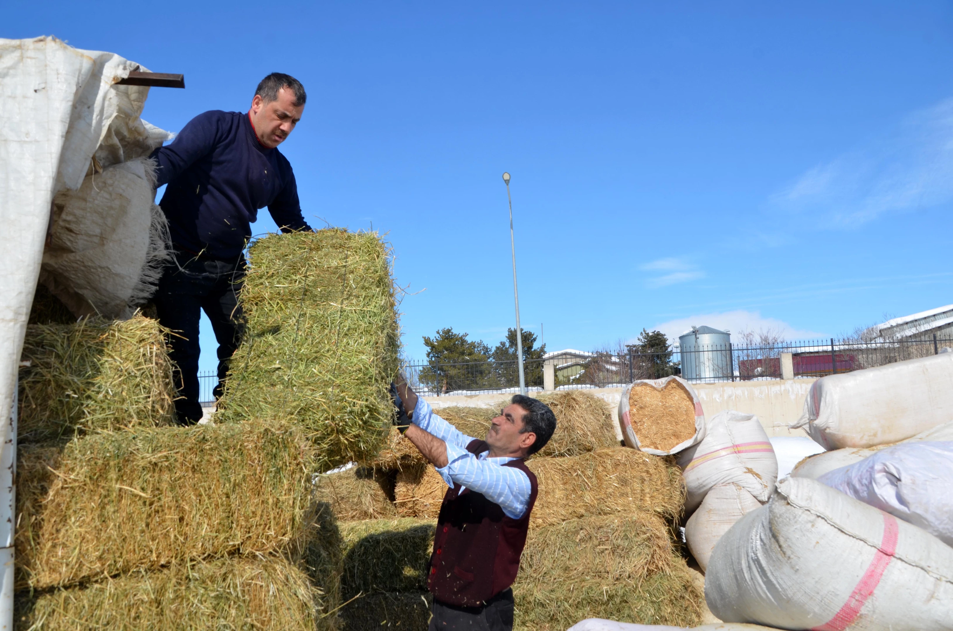 Tarım ve hayvancılık destekleri başladı