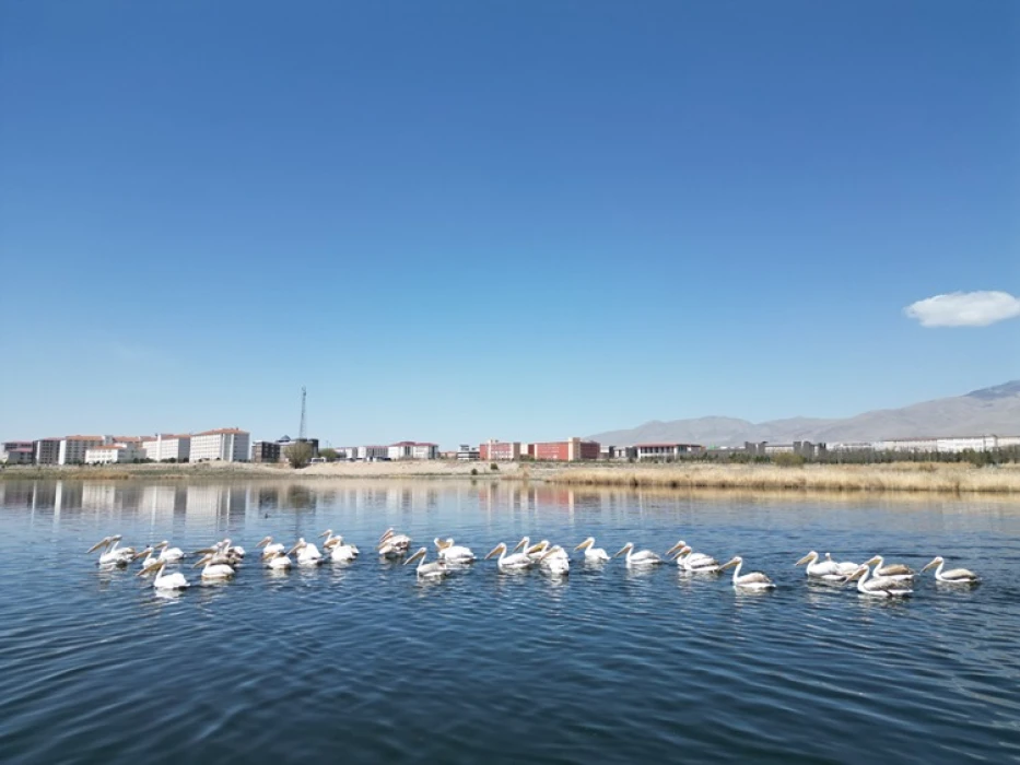 Niğde'deki barajların da doluluk oranı kuraklık nedeniyle düştü