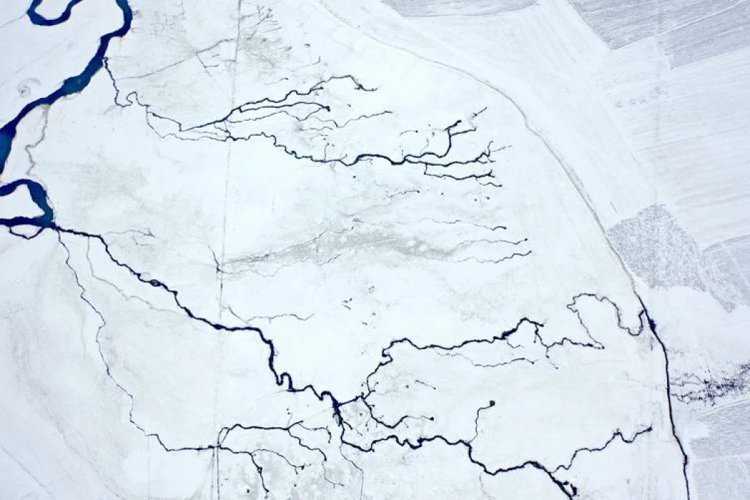 Kışın donmayan menderesler hayvancılığa can suyu oluyor