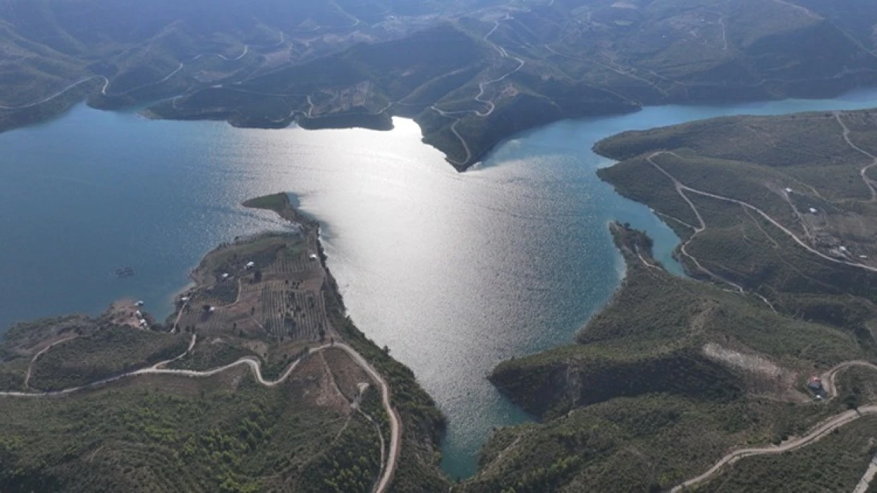 Manavgat’ta yangınla yok olan ormanlar yeniden yeşeriyor