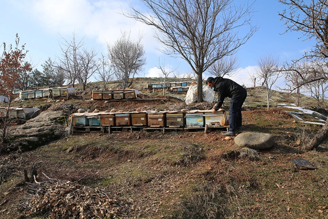 Diyarbakır'da depremzede devlet desteği aldı! Hayvan sayısı 3 kat arttı