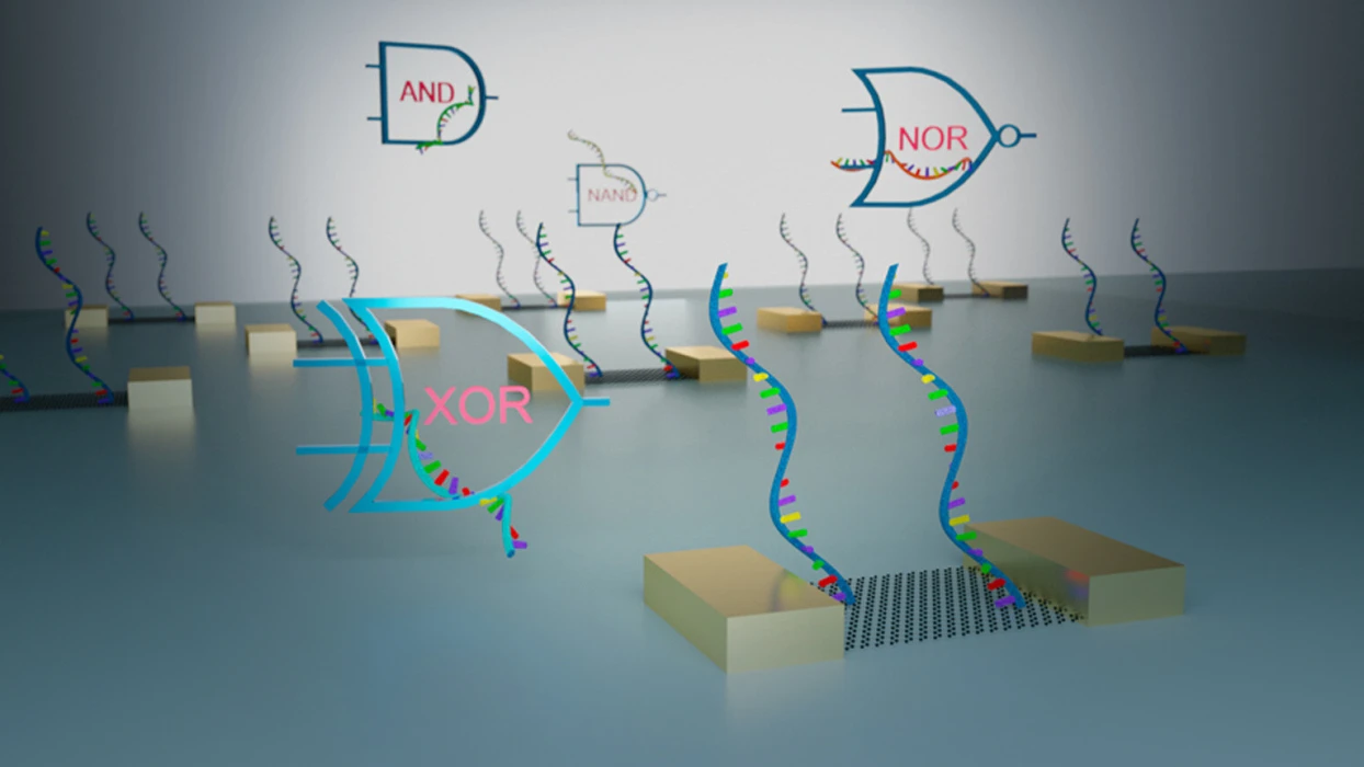 DNA ve protein çipleri: Enerji verimli yapay zekaya kapı