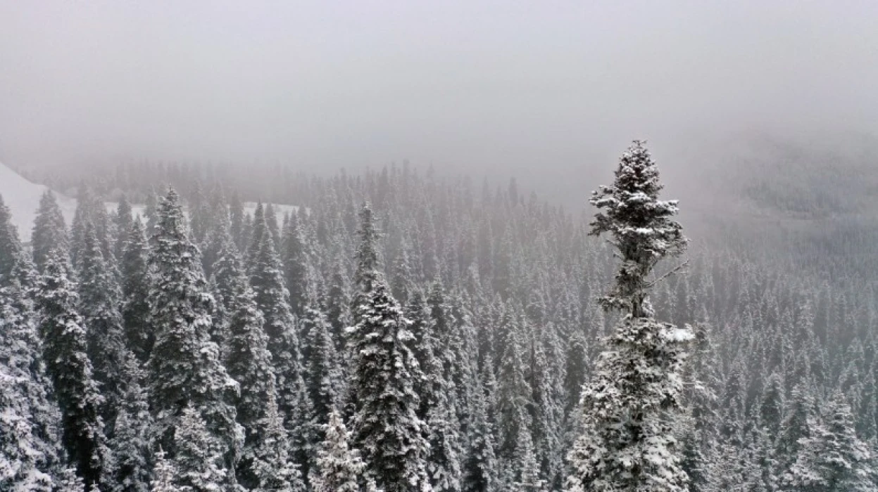Ilgaz Dağı'nda kar ve sis etkili oldu: Kartpostallık görüntüler!