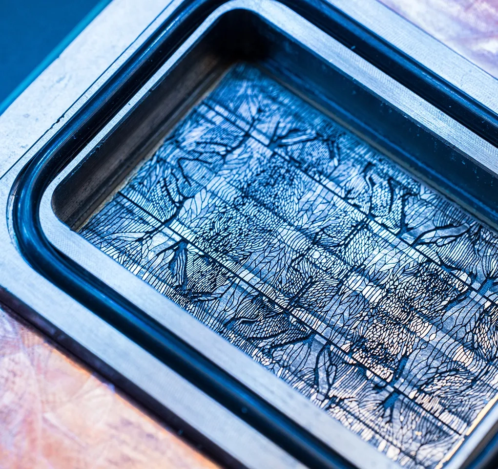 Microsoft’tan çip içi sıvı: Mikroakışkan soğutmada üç kat verim