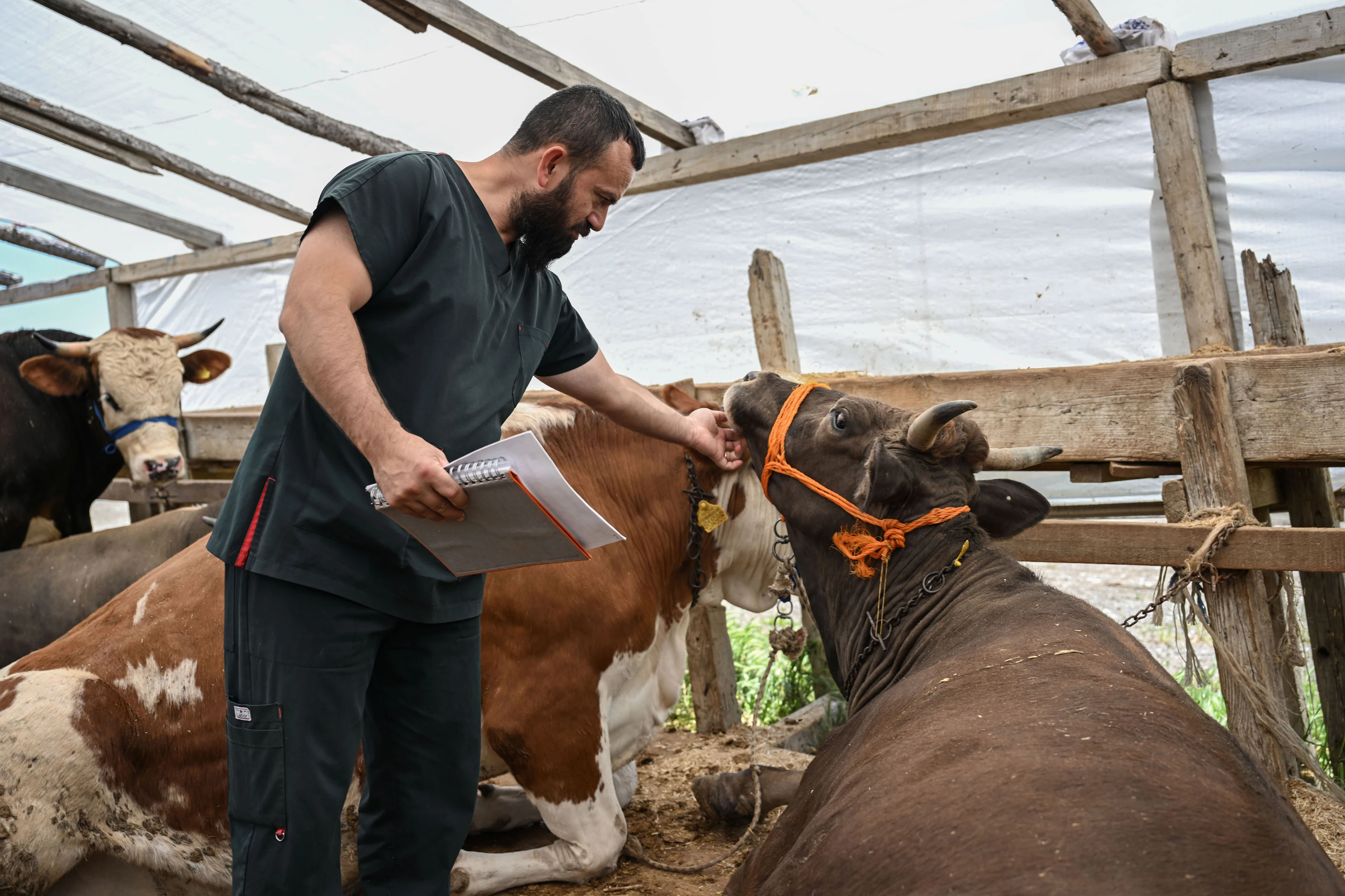 Bayramda denetim artacak kurban sıkıntısı yaşanmayacak