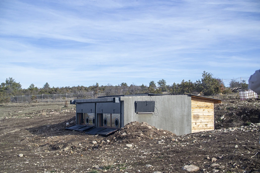 Akbabaların izi Bolu’da sürülüyor: Dört tür aynı istasyonda gözlemleniyor