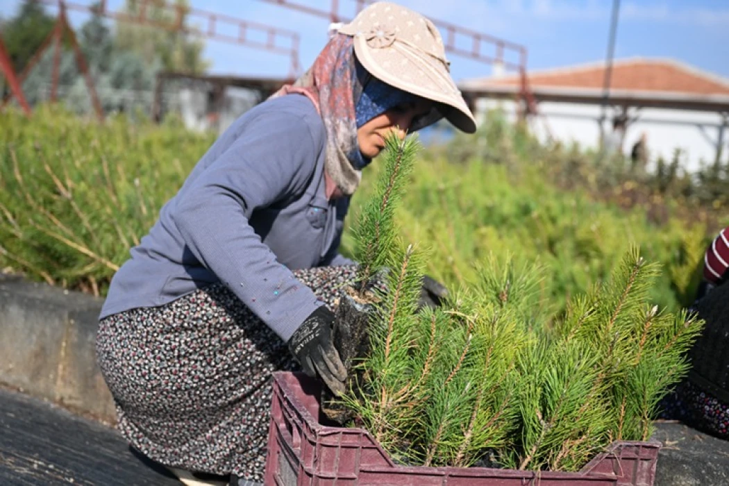 Milli Ağaçlandırma Günü için hedef 15 milyon fidanın sahiplenilmesi