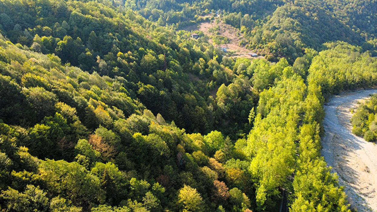 Safranbolu'nun ağaç tüneli yeşilin içinde yolculuk keyfi yaşatıyor