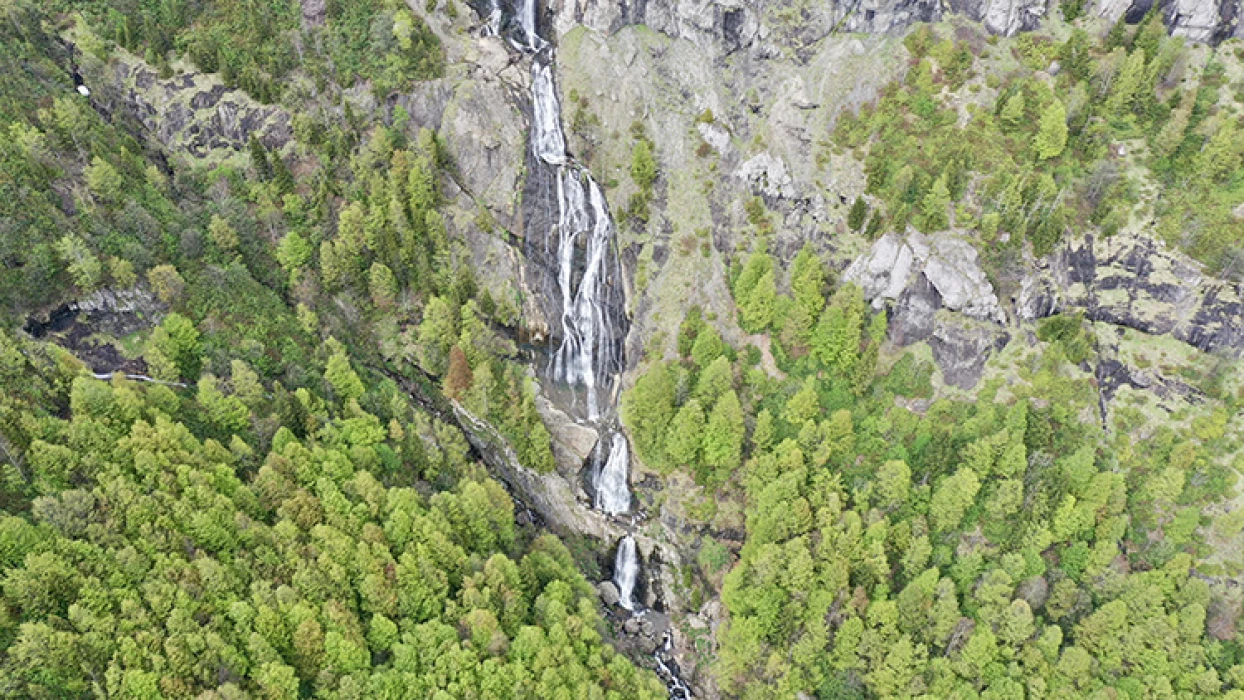 Akarsuları canlanan Sis Dağı Yaylası çiçeklerle renklendi