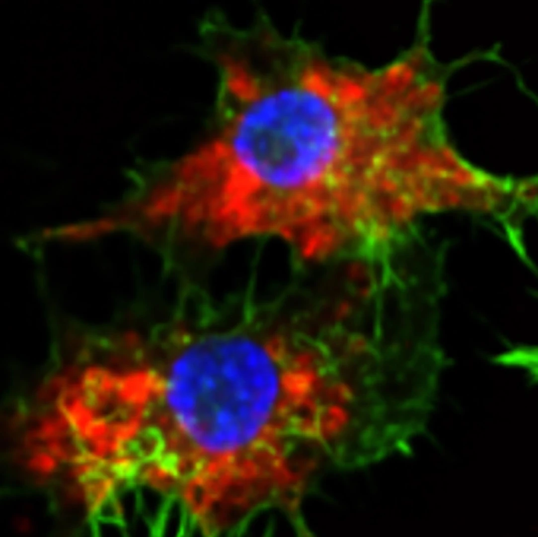 Kemoterapide akıllı hedefleme: İlacın etkisi 20 bin kat arttı
