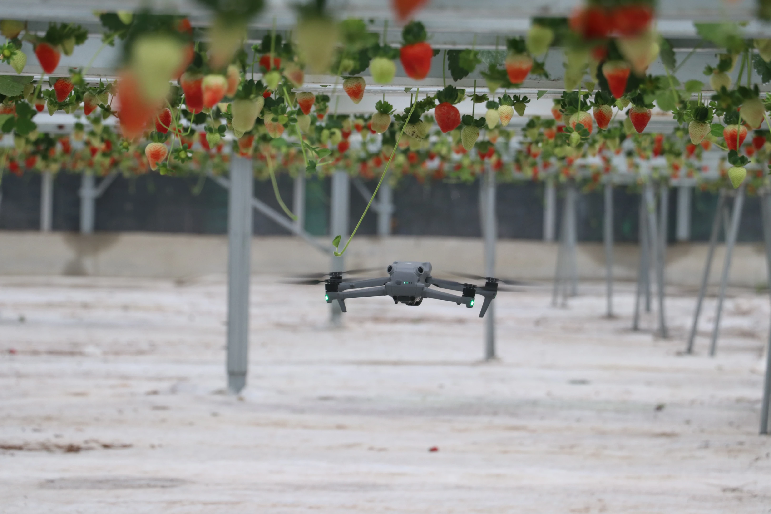 Yapay zeka çağında su alarmı