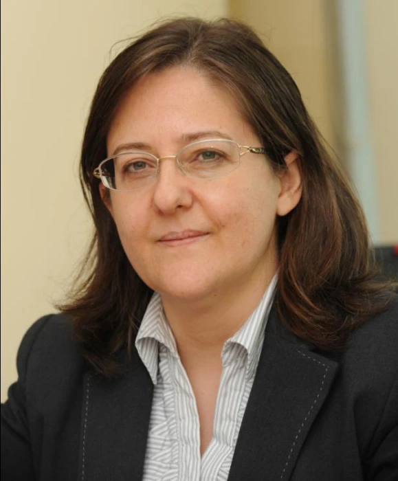 Türkiye’siz Made in Europe AB şirketlerini cezalandırır