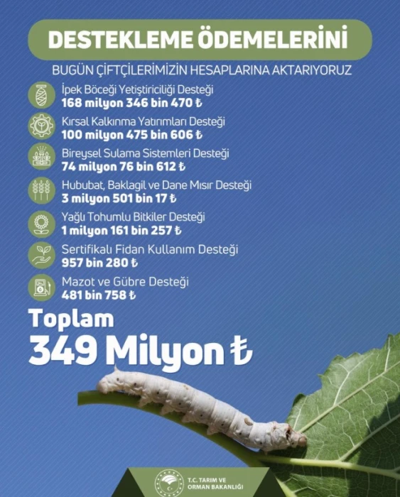 Çiftçilere 349 milyon lira destek ödemesi yapılacak! Tarih belli oldu
