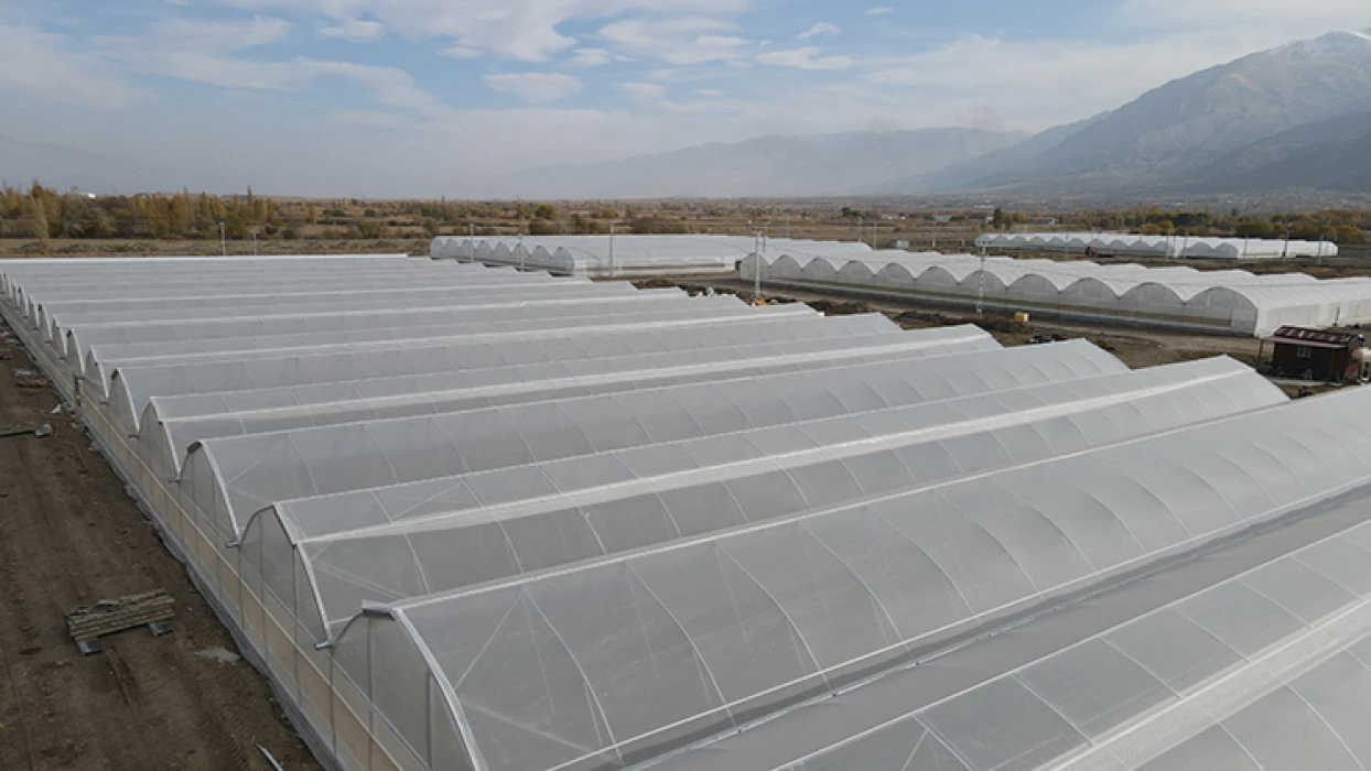 Doğu Anadolu'nun en büyük toplu sera alanı Erzincan'da kurulacak